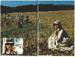 miniatura tess-inlay-07-por-condozco-jones cover dvd