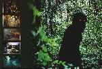 miniatura uncle-boonmee-recuerda-sus-vidas-pasadas-inlay-por-condozco-jones cover dvd