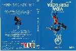 miniatura vida-perfecta-temporada-02-por-songin cover dvd