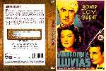 miniatura vinieron-las-lluvias-custom-por-norni cover dvd