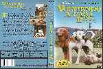 miniatura volviendo-a-casa-ii-perdidos-en-san-francisco-custom-por-jonander1 cover dvd