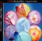 miniatura adobe-creative-suite-3-master-collection-frontal-por-nograde cover pc
