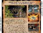 miniatura armies-of-exigo-trasera-por-seaworld cover pc