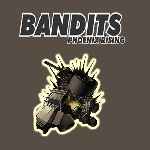 miniatura bandits-phoenix-rising-frontal-por-seaworld cover pc