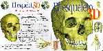miniatura el-esqueleto-3d-frontal-por-hersal cover pc
