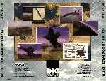 miniatura f22-did-air-dominance-fighter-trasera-por-franki cover pc