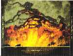 miniatura magic-the-gathering-9-edicion-trasera-por-txt cover pc