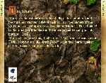 miniatura the-settlers-4-frontal-por-franki cover pc