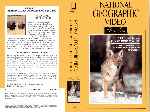 miniatura national-geographic-serie-oro-12-yellowstone-territorio-coyote-por-antco cover vhs