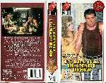 miniatura un-tranvia-llamado-deseo-1984-por-laterremoto cover vhs