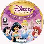miniatura disney-princess-enchanted-journey-cd-custom-v2-por-campama cover wii