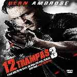 miniatura 12-trampas-3-por-chechelin cover divx
