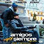 miniatura Amigos Por Siempre Por Chechelin cover divx