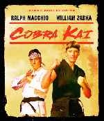 miniatura Cobra Kai Temporada 01 Por Chechelin cover divx