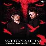 miniatura Sobrenatural Temporada 04 Por Jonander1 cover divx