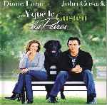 miniatura Y Que Le Gusten Los Perros Por Pepetor cover divx