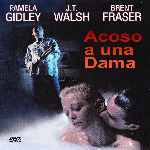 miniatura acoso-a-una-dama-por-chechelin cover divx