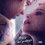 miniatura after-en-mil-pedazos-por-chechelin cover divx