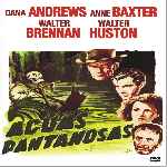 miniatura aguas-pantanosas-por-enrique1967 cover divx