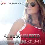 miniatura al-descubierto-temporada-03-por-chechelin cover divx