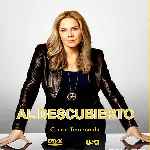 miniatura al-descubierto-temporada-04-por-chechelin cover divx