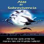 miniatura alas-de-sobrevivencia-por-mastercustom cover divx