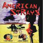 miniatura american-strays-por-jrc cover divx