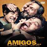 miniatura amigos-2011-por-chechelin cover divx