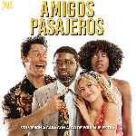 miniatura amigos-pasajeros-por-tonype cover divx