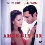 miniatura amor-sin-fin-2017-por-chechelin cover divx