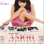 miniatura amor-y-otros-desastres-por-jrc cover divx