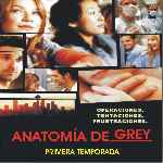 miniatura anatomia-de-grey-temporada-01-por-jrc cover divx