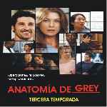 miniatura anatomia-de-grey-temporada-03-por-jrc cover divx