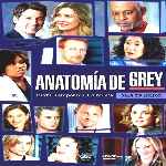 miniatura anatomia-de-grey-temporada-06-por-vigilantenocturno cover divx