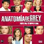 miniatura anatomia-de-grey-temporada-09-por-chechelin cover divx