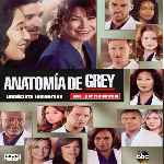 miniatura anatomia-de-grey-temporada-11-por-chechelin cover divx