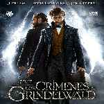 miniatura animales-fantasticos-los-crimenes-de-grindelwald-por-chechelin cover divx