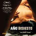 miniatura ano-bisiesto-2010-por-chechelin cover divx