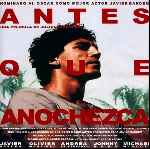 miniatura antes-que-anochezca-por-el-verderol cover divx