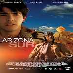 miniatura arizona-sur-por-chechelin cover divx