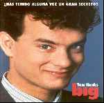 miniatura big-por-el-verderol cover divx