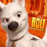 miniatura bolt-por-tonype cover divx