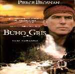miniatura buho-gris-por-el-verderol cover divx