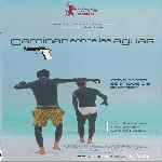 miniatura caminar-sobre-las-aguas-por-yunta cover divx
