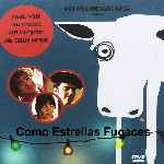 miniatura como-estrellas-fugaces-por-chechelin cover divx