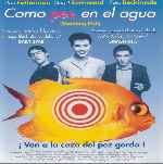 miniatura como-pez-en-el-agua-shooting-fish-por-jrc cover divx