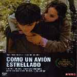 miniatura como-un-avion-estrellado-por-samuel-perezz cover divx
