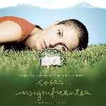 miniatura cosas-insignificantes-por-3enuno cover divx