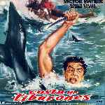 miniatura costa-de-tiburones-por-jonymas cover divx