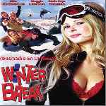 miniatura desmadre-en-la-nieve-por-jonymas cover divx